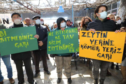 "Bu medeniyet doğayı katletmemelidir"