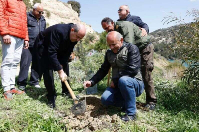 Kıbrıs'ta zeytin fidanı dikerek, yuva sahibi oldular