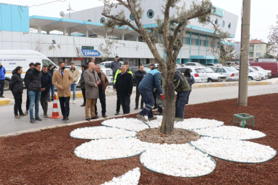 Manisa Akhisar'da peyzaj çalışması