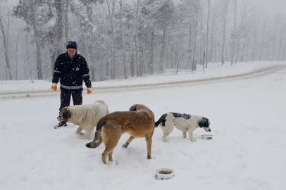 Bursa Osmangazi'de can dostlar soğuk havalarda unutulmadı