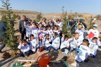 Kayseri'de üç yılda 300 bin fidan dikildi 