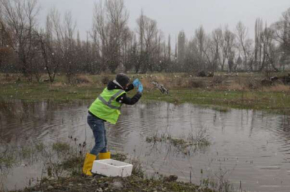 Kütahya'da leylekler unutulmadı 