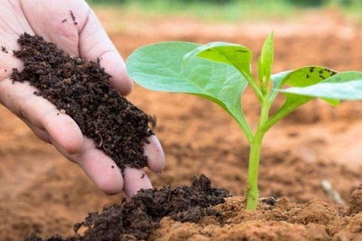 Manisa'da üreticiye gübre desteği 