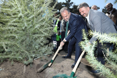 Kültür Başkenti Bursa'da fidanlar toprakla buluşuyor