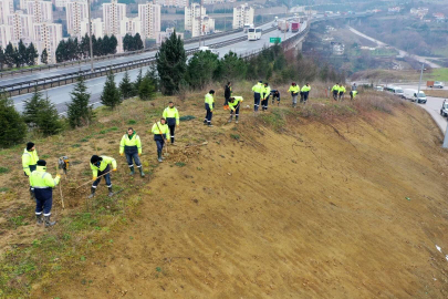 Kocaeli Şehir Hastanesi'nde yolunda çevre düzenlemesi