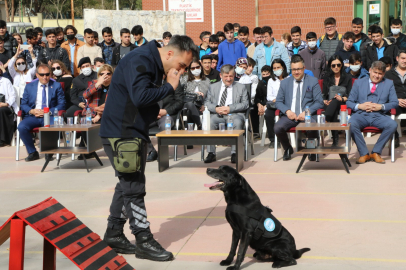 Manisa Büyükşehir'den 'Can Dostum' projesi