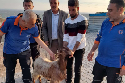 Adıyaman'da mahsur kalan keçi kurtarıldı 