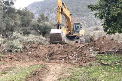 500.000 kişi tek ses oldu: “Zeytinime Dokunma!”