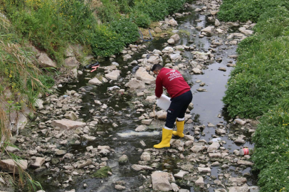 Hatay Büyükşehir ekipleri insan ve çevre sağlığı için çalışıyor 