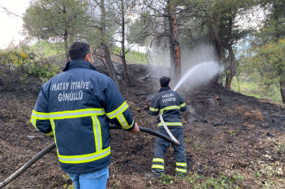 Hatay'daki orman yangını gönüllü itfaiyeciler söndürdü