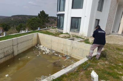 Edirne Keşan'da vektörel mücadele 