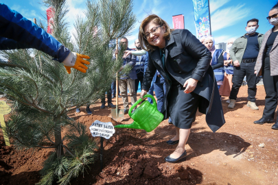 Gaziantep Büyükşehir 250 karaçam dikimi yaptı 