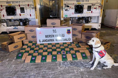 Mersin Limanı'nda 258 kilo uyuşturucu 