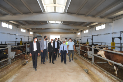 Kayseri'de 5.5 milyon metrekarelik bir alanda hayvancılığa nefes aldıracak proje 