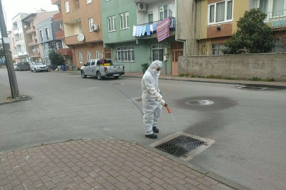 Bursa Osmangazi’den haşerelere karşı başarılı mücadele