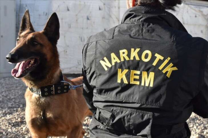 Hakkari'de dedektör köpekler polisin büyük destekçisi