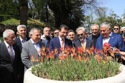 İstanbul'da laleler açtı
