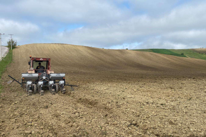 Silajlık mısır tohumları bugün Kozluca’da toprakla buluştu