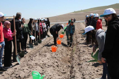 Kayseri Kocasinan'da Engelliler Haftası'nda fidan dikildi 