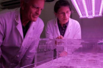 Ay'dan getirilen toprak yeşertti!