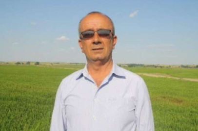 Edirne İpsala'da çeltik üreticileri dertli