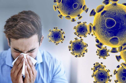 Maymun çiçeği virüsü: Dünyanın yeni korkusu oldu