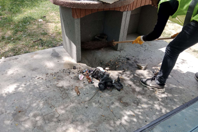Kütahya'da piknik alanları temizleniyor 