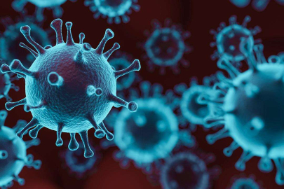 Maymun Çiçeği küçük çocukları daha fazla etkiliyor