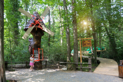  50 ülkenin en iyisi "Ormanya"