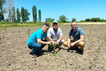 Bursa tıbbi aromatik üretim üssü olacak