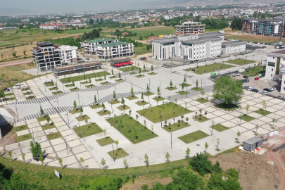 Kocaeli Kartepe'nin meydanında çınar ağaçları yeşerecek