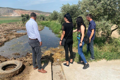 Manisa'da ilaçlama çalışmaları sürüyor