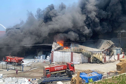 Hatay Arsuz'da antrepo yangınına müdahale sürüyor