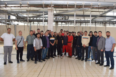 Bursa Yıldırım'da usta kasaplar 100 kursiyere el verdi