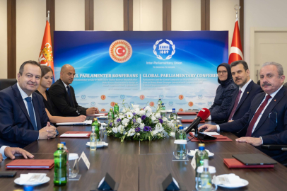 TBMM Başkanı Şentop, Sırbistan Meclis Başkanı Dacic'le görüştü