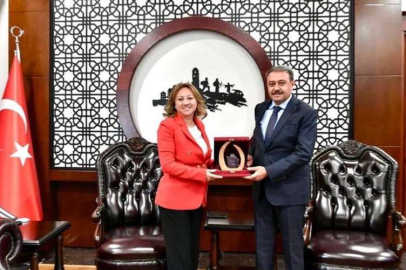 Bakan Yardımcısı Yavuz'dan Vali Şıldak'a ziyaret