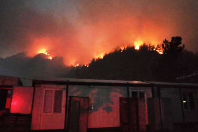 Muğla'da yangının bittiği müjdeyi ilk duyuran gazeteci oldu