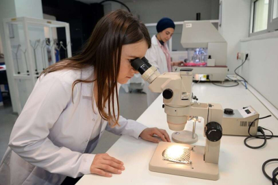 İŞKUR'dan gençlere 'staj portalı' müjdesi