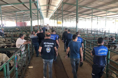 Manisa'da kurban satış yerleri Zabıta denetiminde