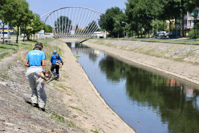 Sakarya'da Çark Deresi çevresinde bayram temizliği
