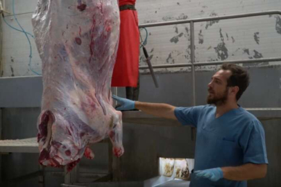 MKP’den uygulamalı kurban kesim kursu