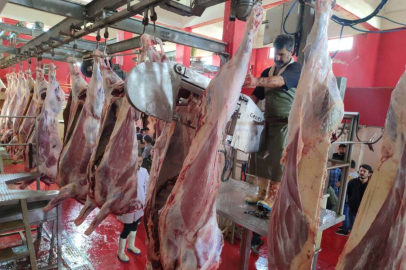 Ağrı Belediyesi veterinerlerinden fazla mesai