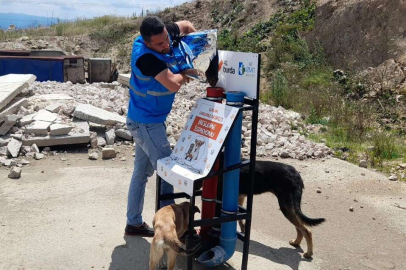 İzmit Belediyesi can dostlarımızı bayramda da unutmadı