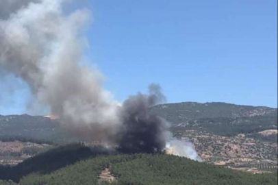 Hatay'da yangın kabusu