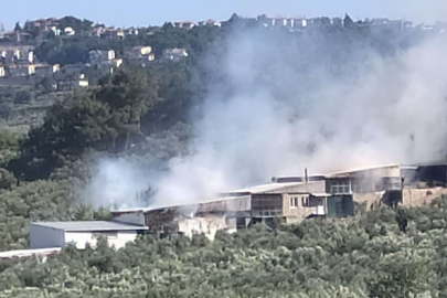 Mudanya Güzelyalı’da bir kıvılcım çiftliği küle çevirdi!