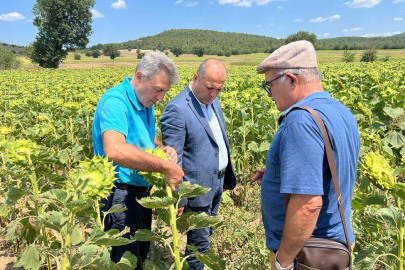 CHP'li Tekirdağ Milletvekili Aygun, Tarım Bakanı'na Bursa Ovası'ndan seslendi