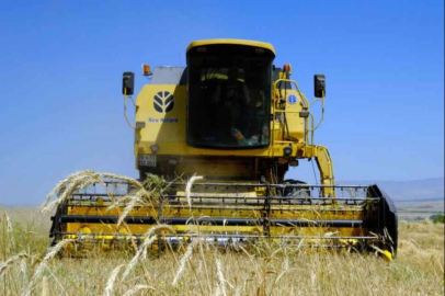 Buğday fiyatları geriledi