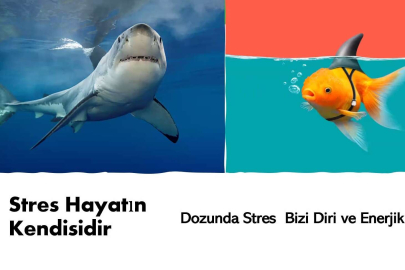 BTSO Akademi iş dünyasına yönelik eğitimlerini sürdürüyor