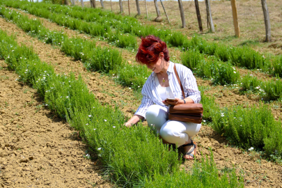 Kocaeli heyetinden TABİP çıkarması