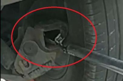 Bursa İnegöl'de yılan operasyonu